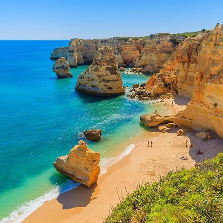 A41 - Olive Tree Street 1 Bed Lägenhet